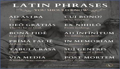 A Profile Of A Latin Beauty